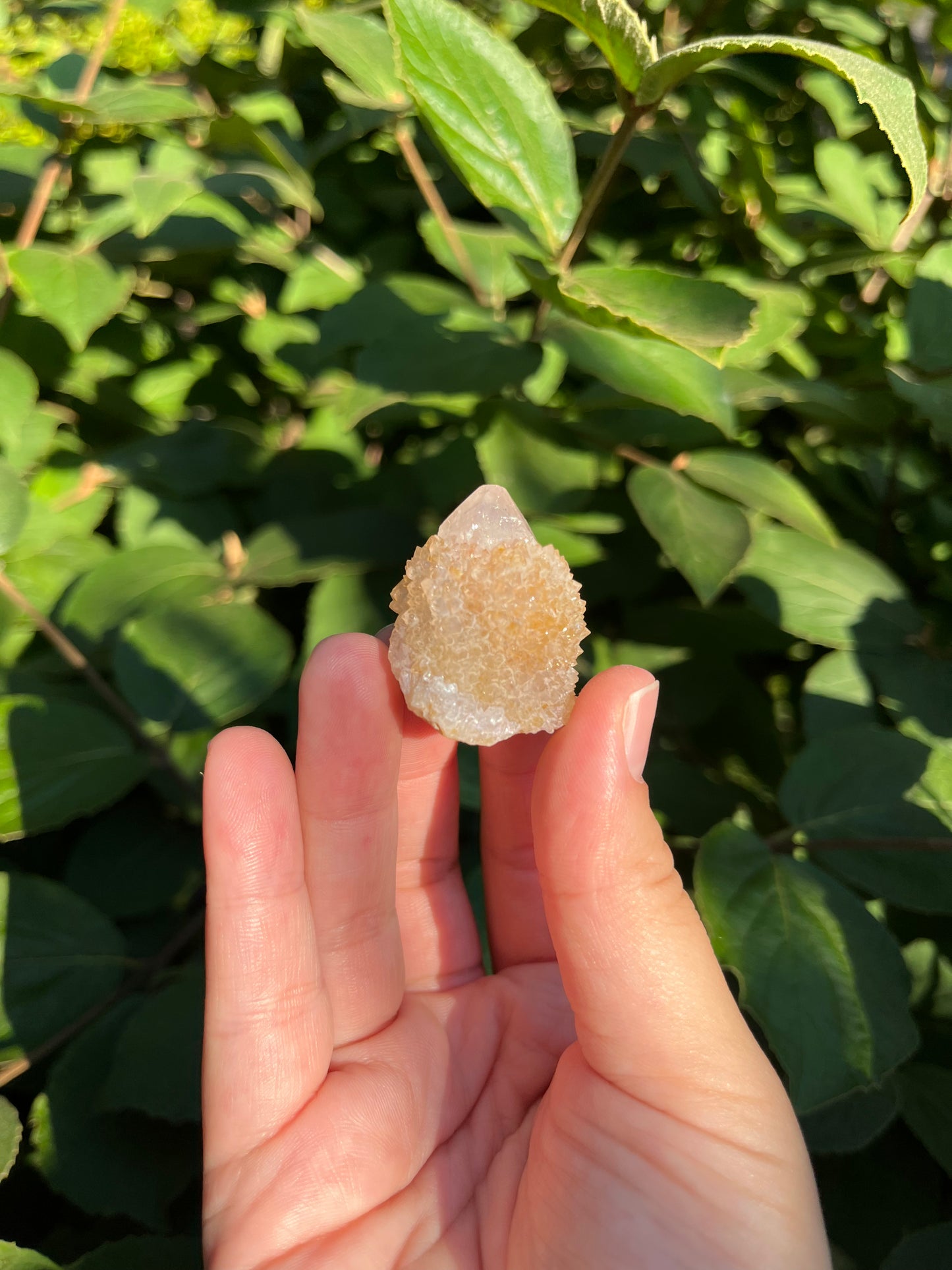 Spirit Quartz Cluster