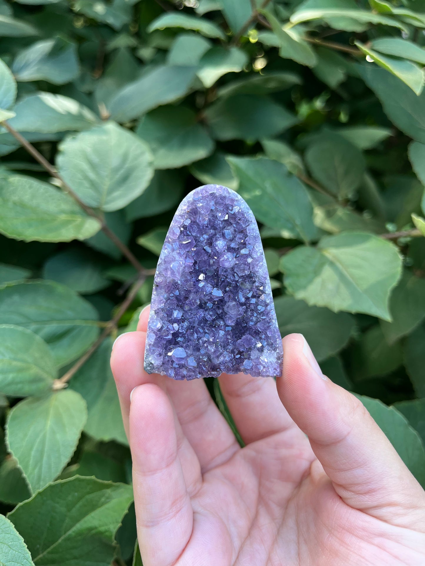 Amethyst Mini Freeform