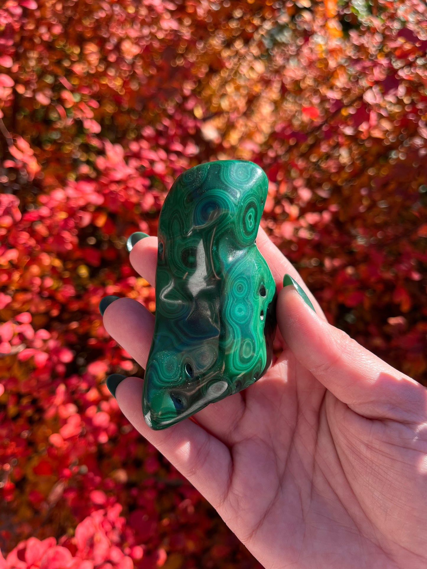 Malachite Freeform