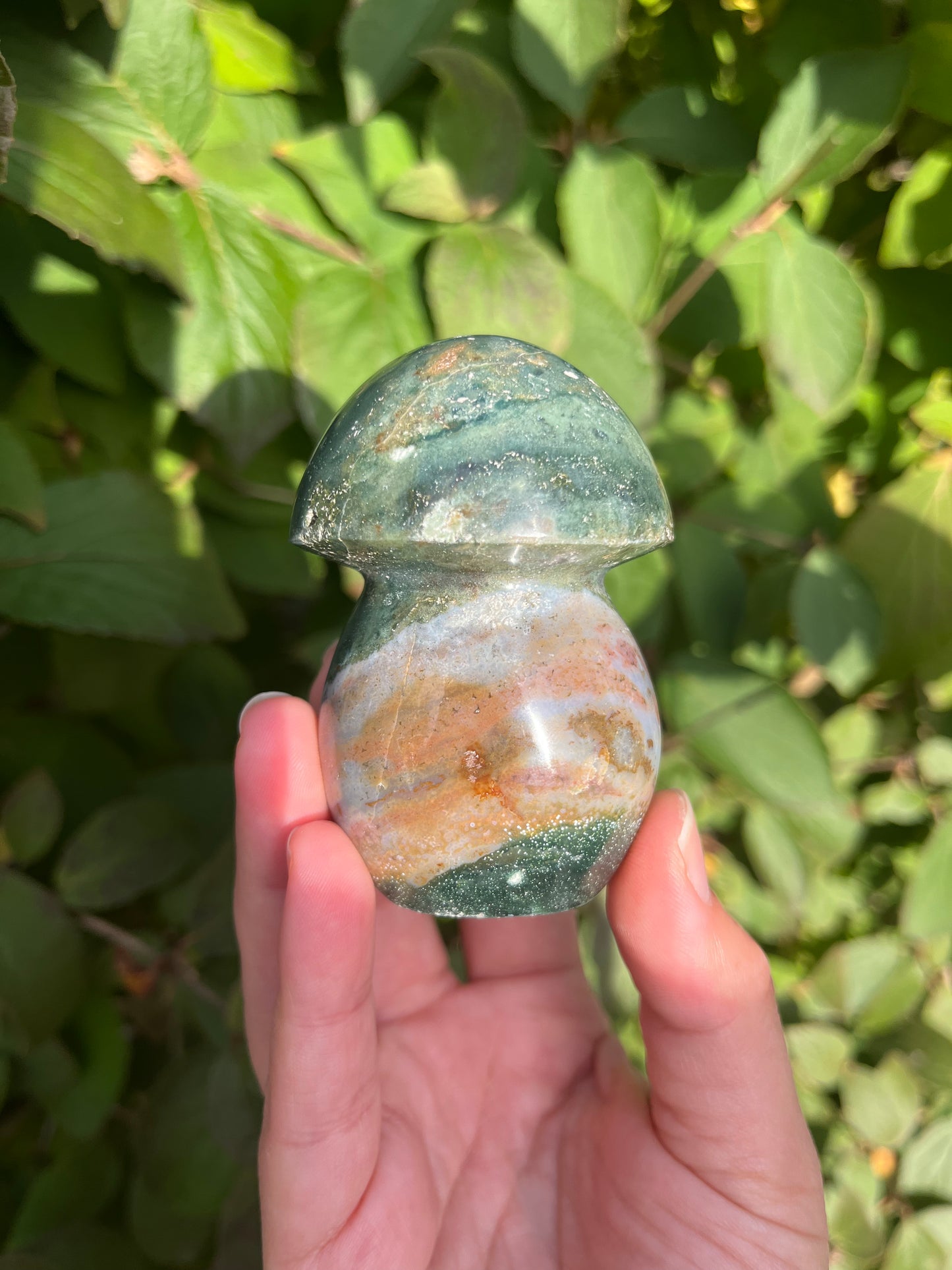 Sea Jasper Mushroom