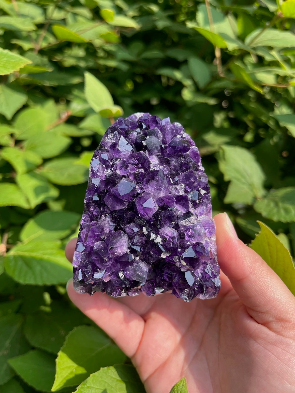 Grape Jelly Amethyst Freeform