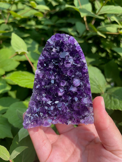 Grape Jelly Amethyst Freeform