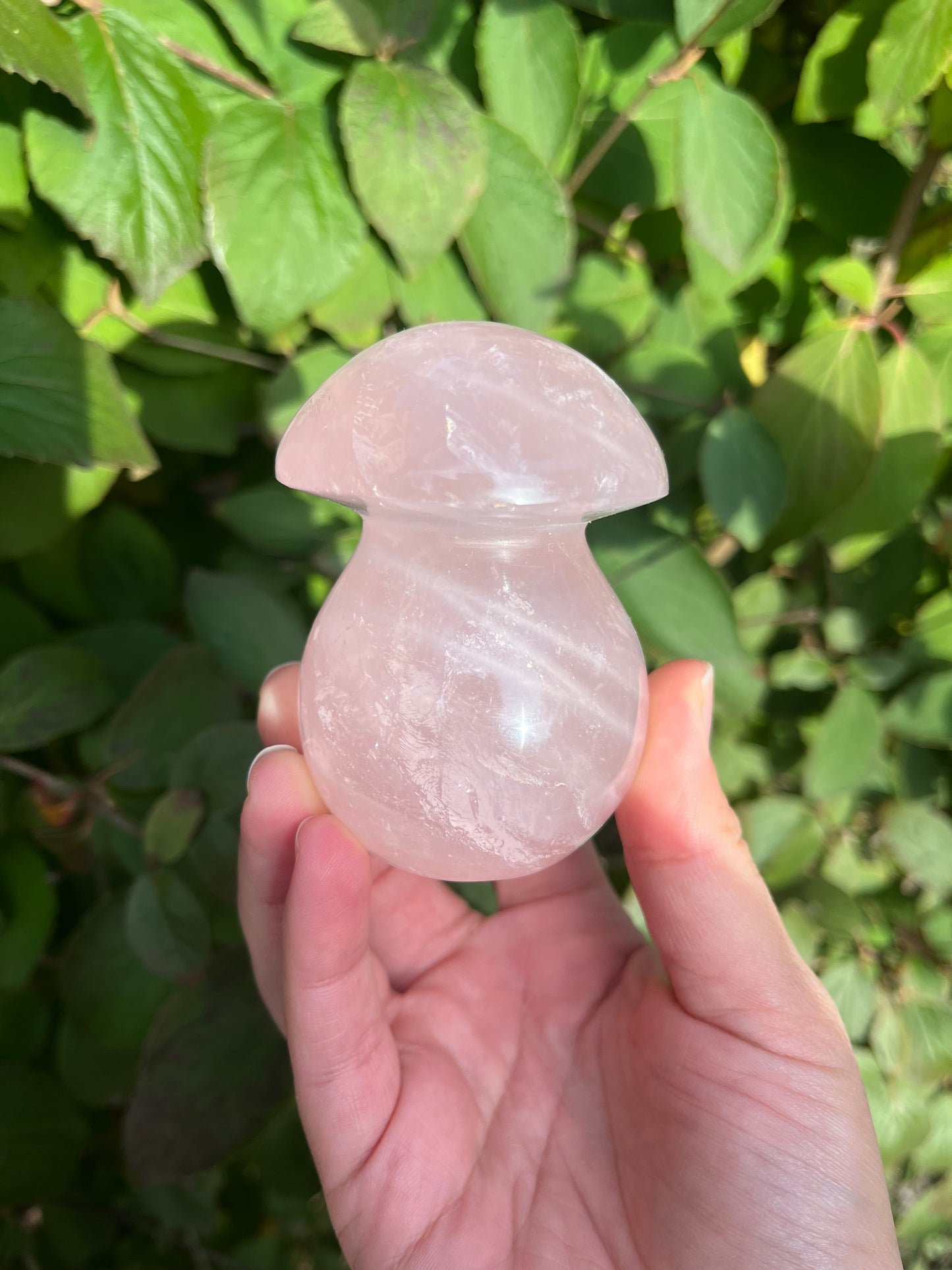 Rose Quartz Mushroom