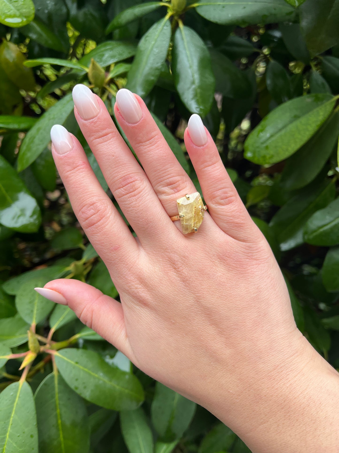 Golden Rutilated Quartz Rings