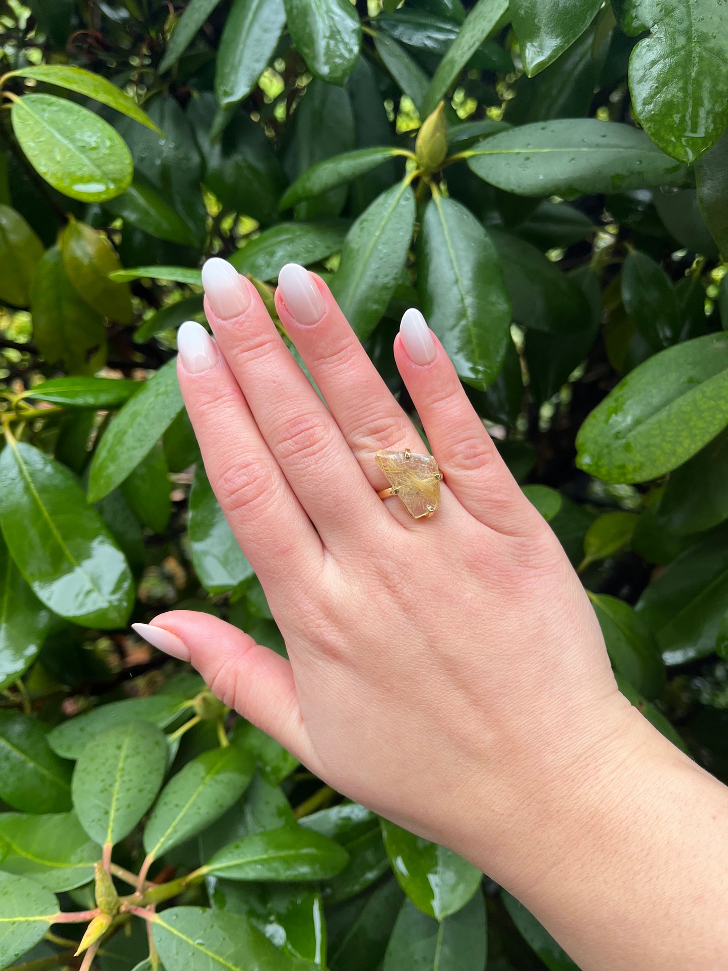 Golden Rutilated Quartz Rings