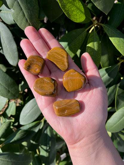 Yellow Jasper