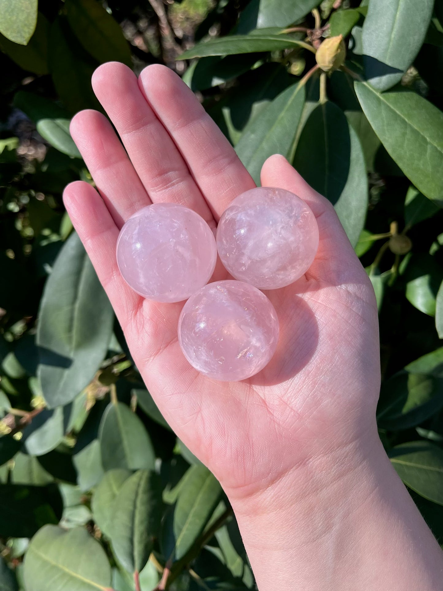 Mini Rose Quartz Spheres