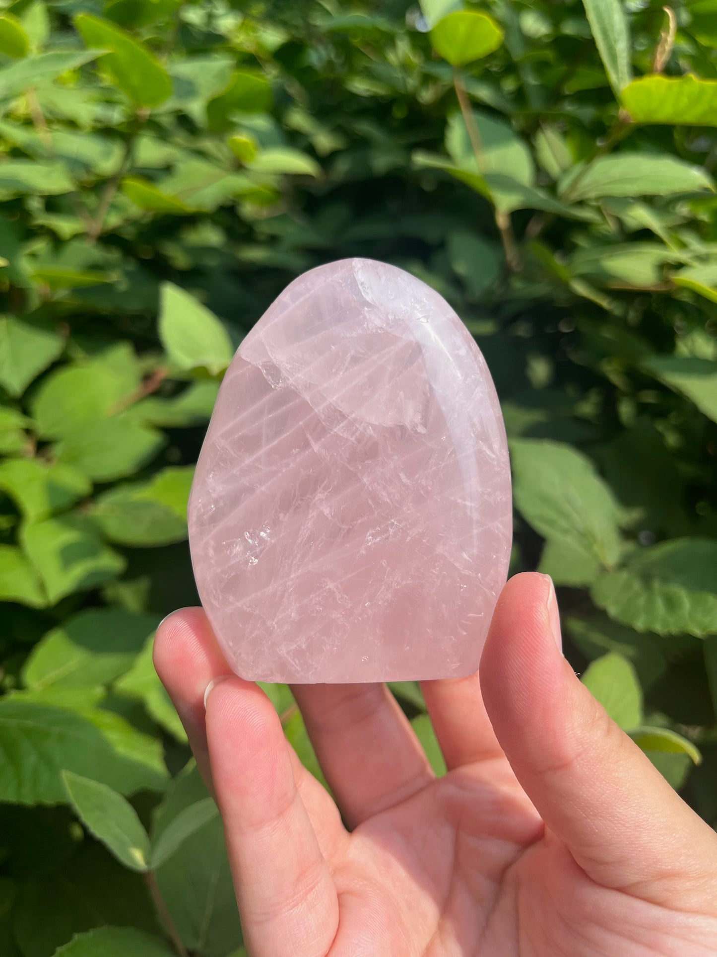 Rose Quartz Freeform