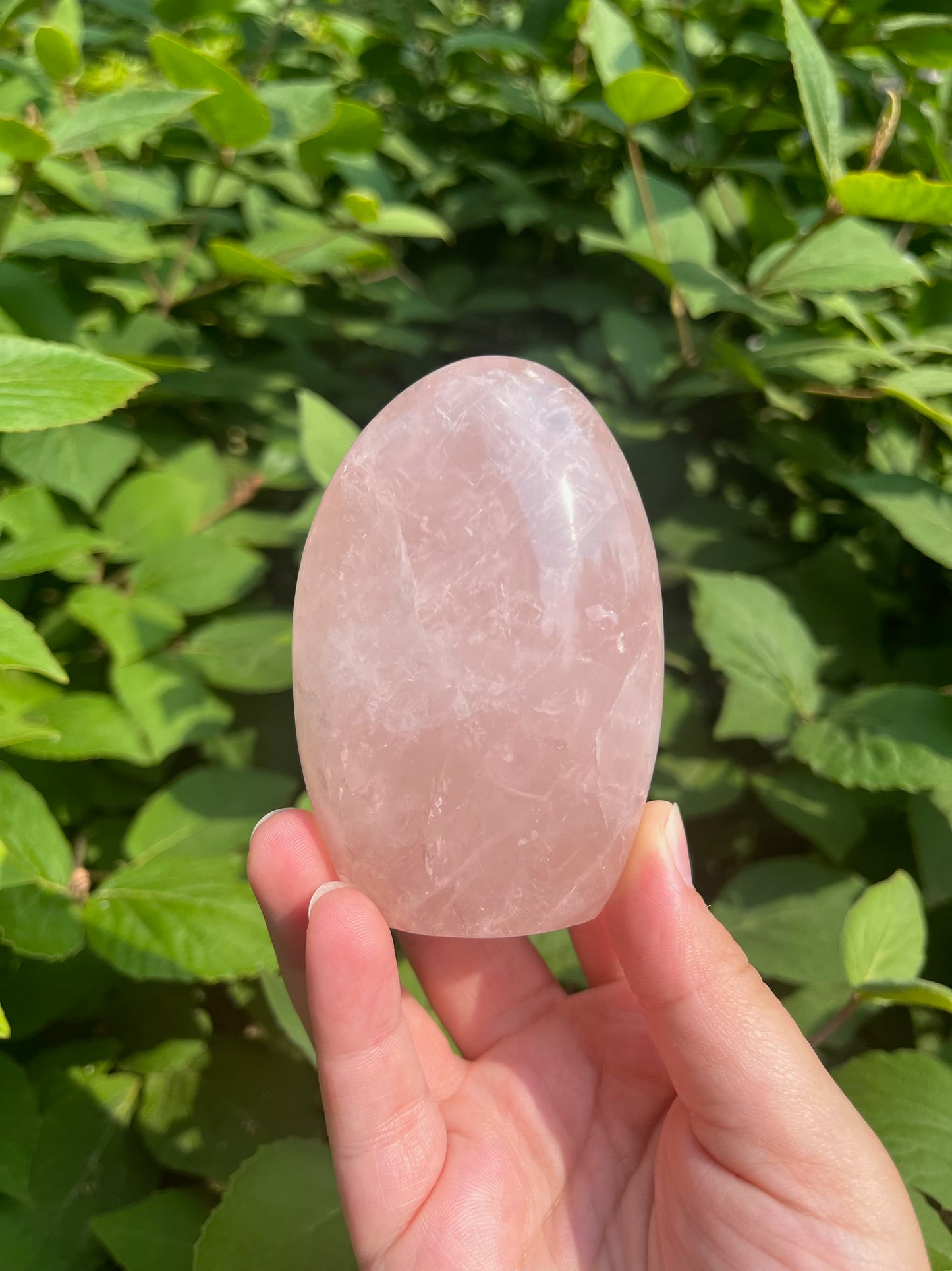 Rose Quartz Freeform