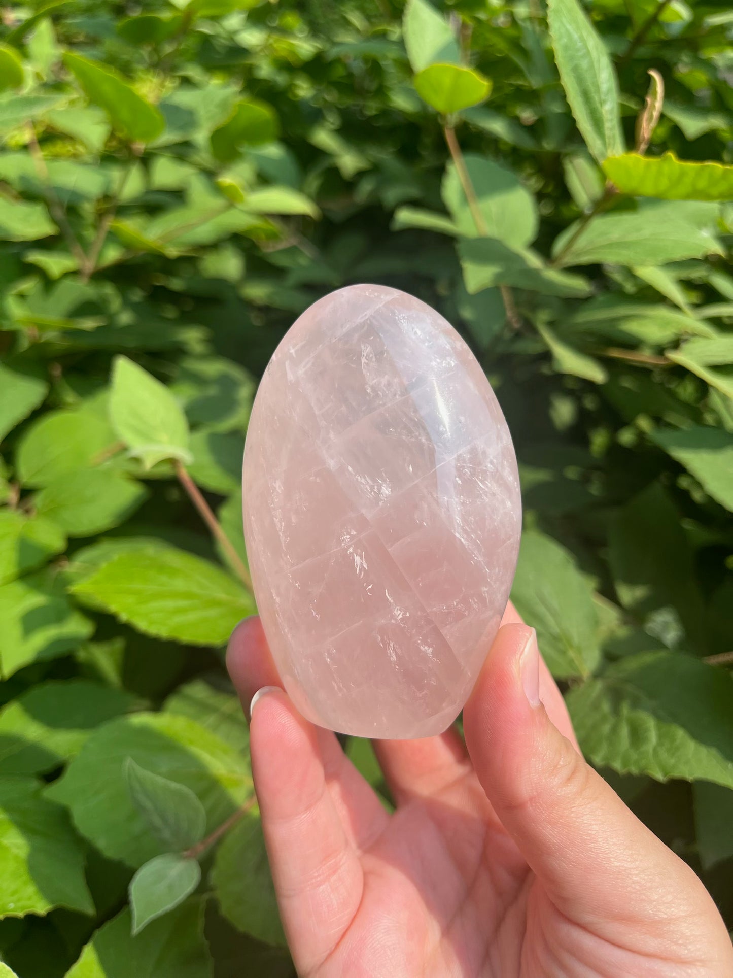 Rose Quartz Freeform