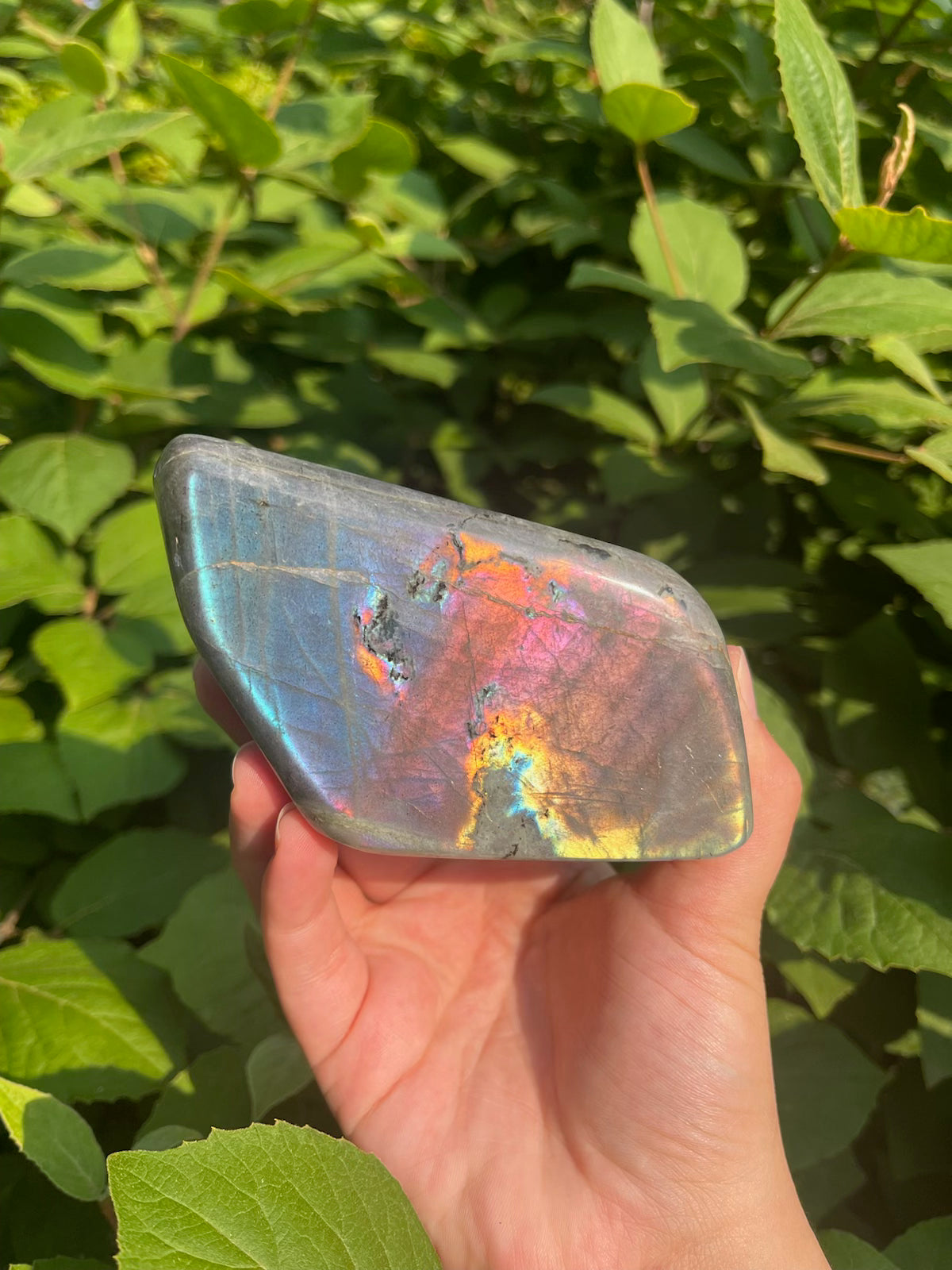 Sunset Labradorite Freeform