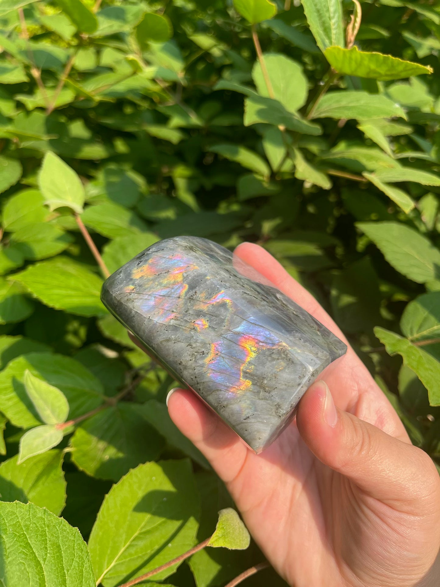 Sunset Labradorite Freeform