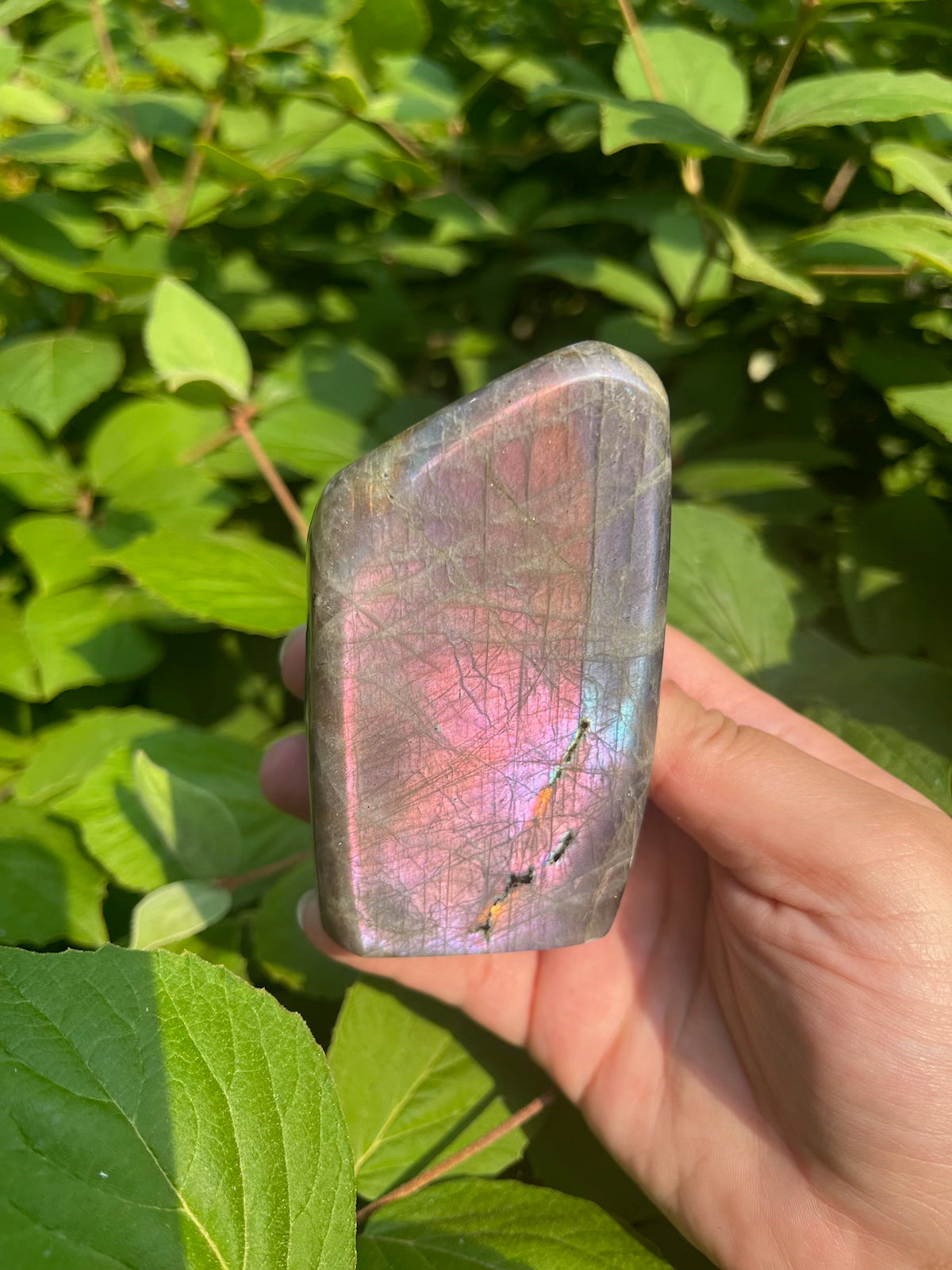 Sunset Labradorite Freeform