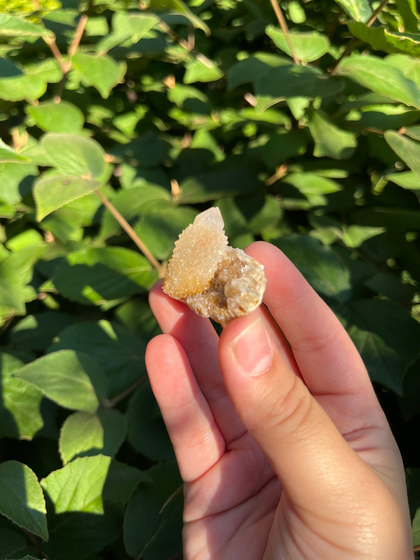 Spirit Quartz Cluster