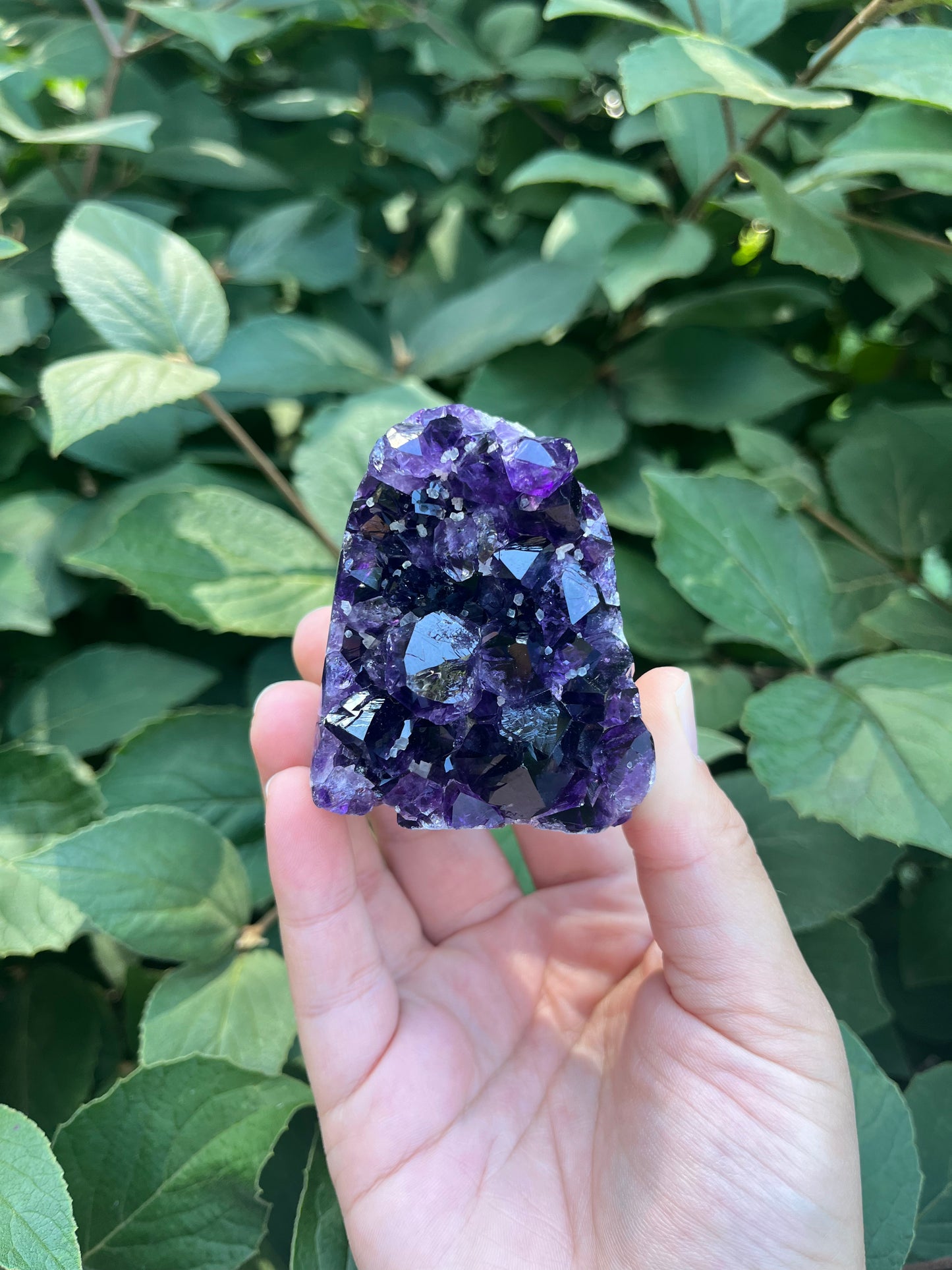 Amethyst Mini Freeform