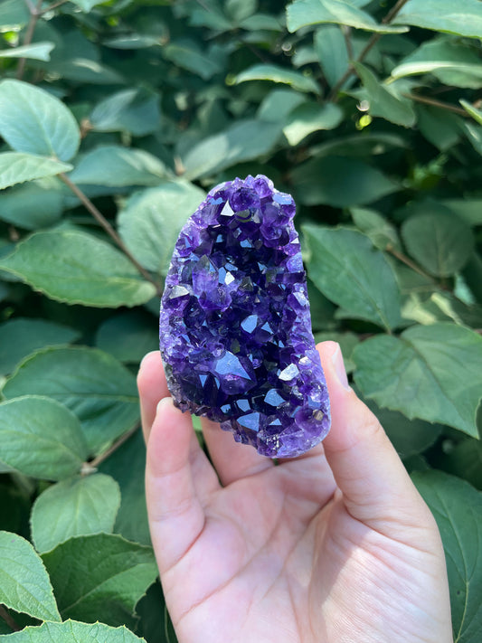 Amethyst Mini Freeform