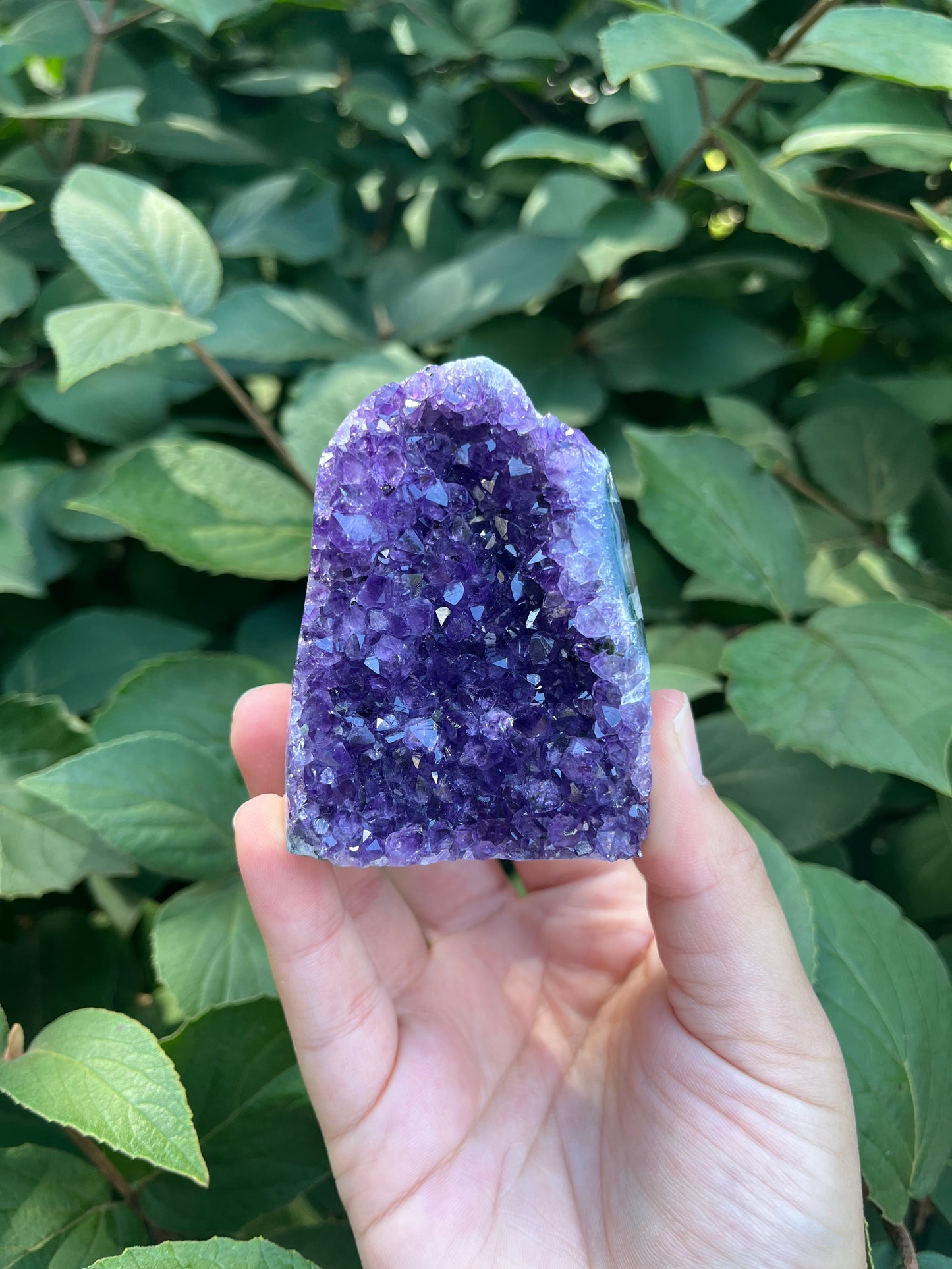 Amethyst Mini Freeform