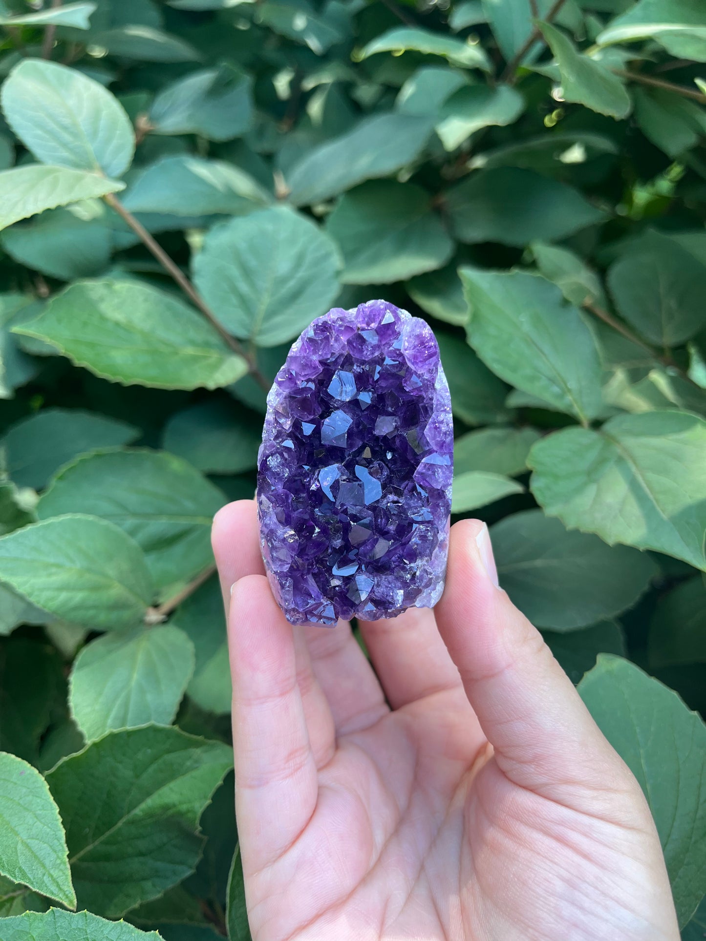 Amethyst Mini Freeform