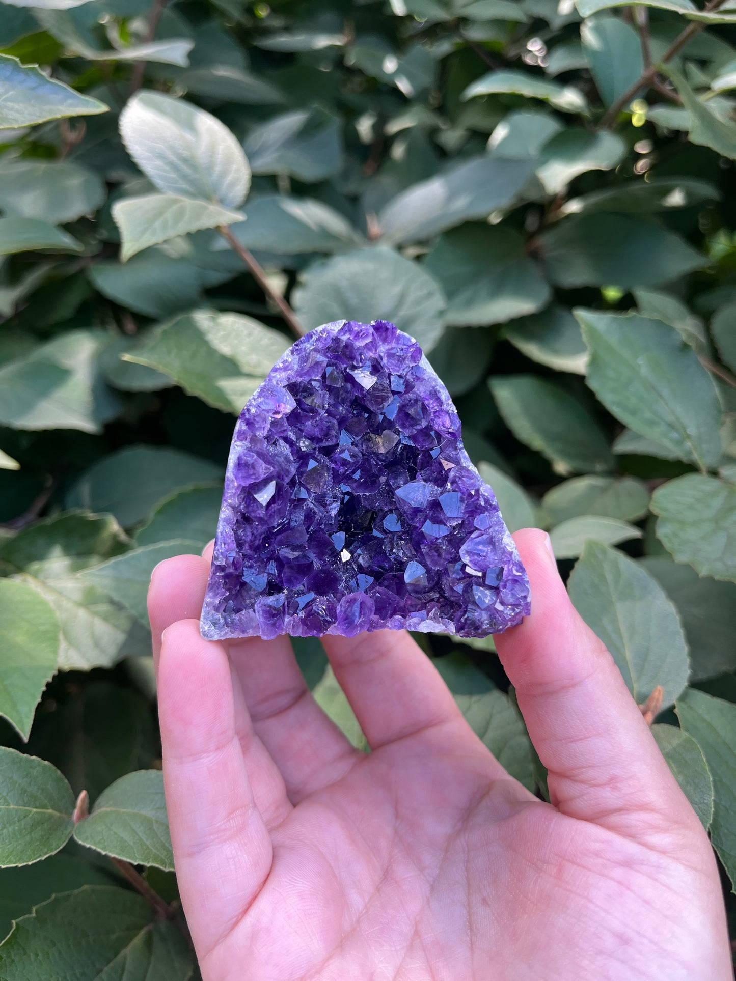 Amethyst Mini Freeform