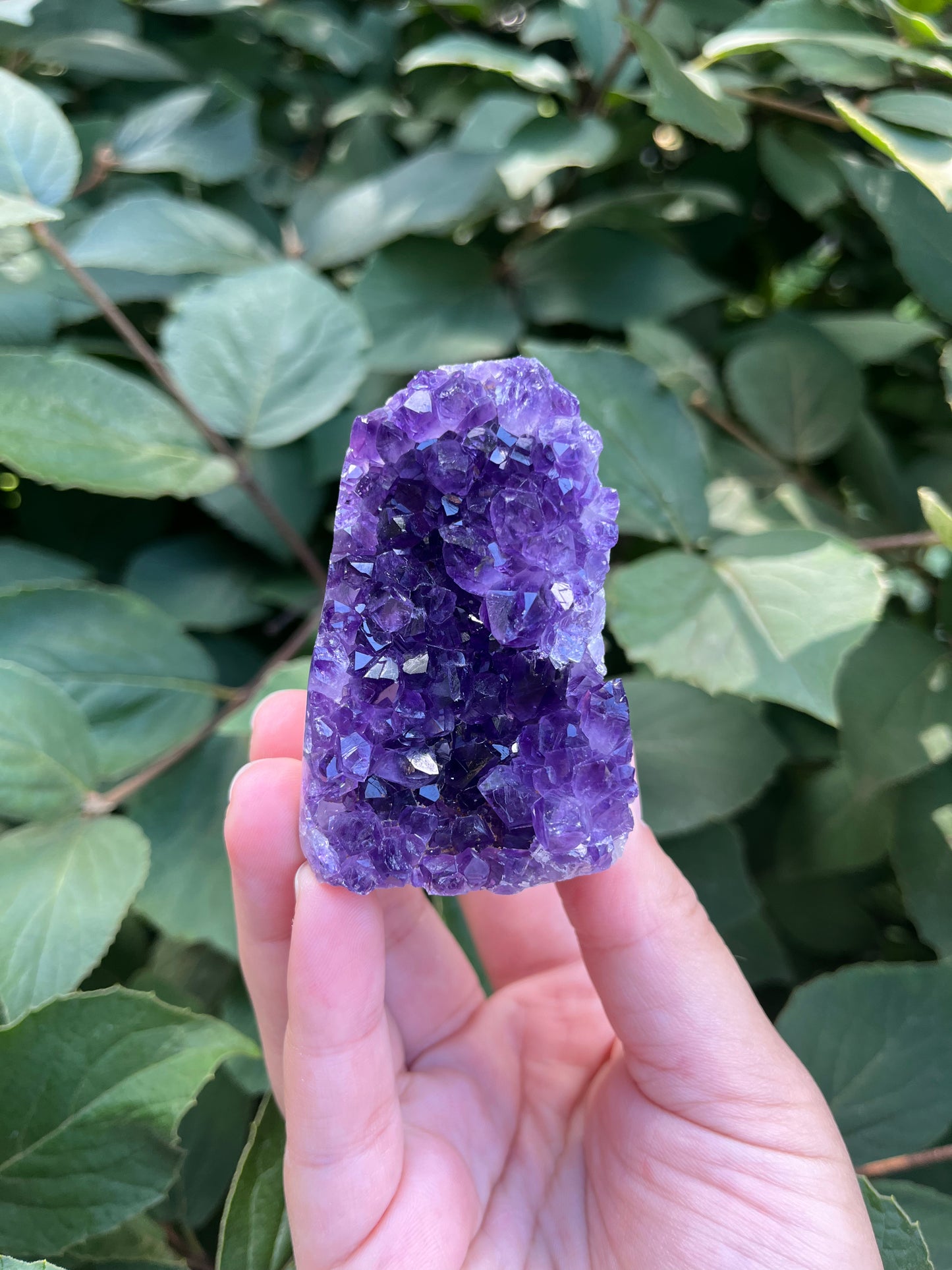 Amethyst Mini Freeform