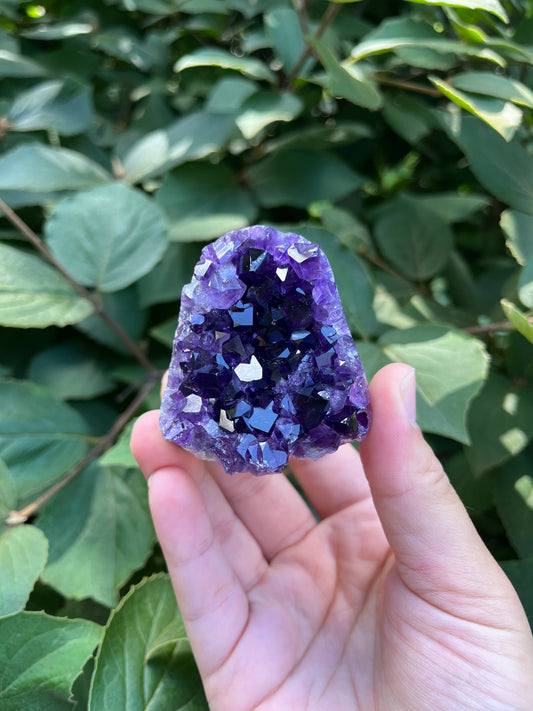 Amethyst Mini Freeform