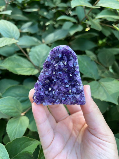 Amethyst Mini Freeform