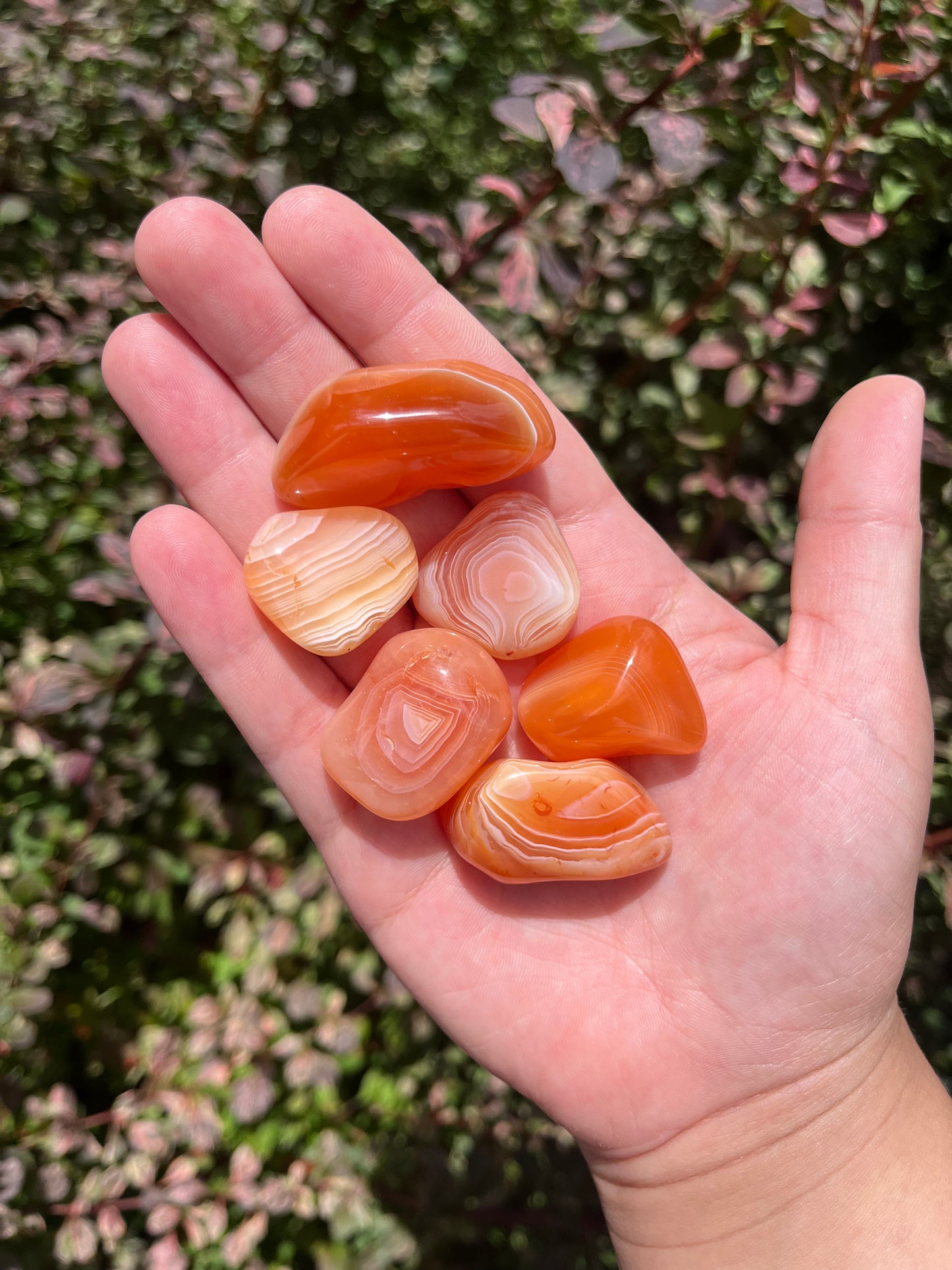 Botswana Banded Carnelian Tumble