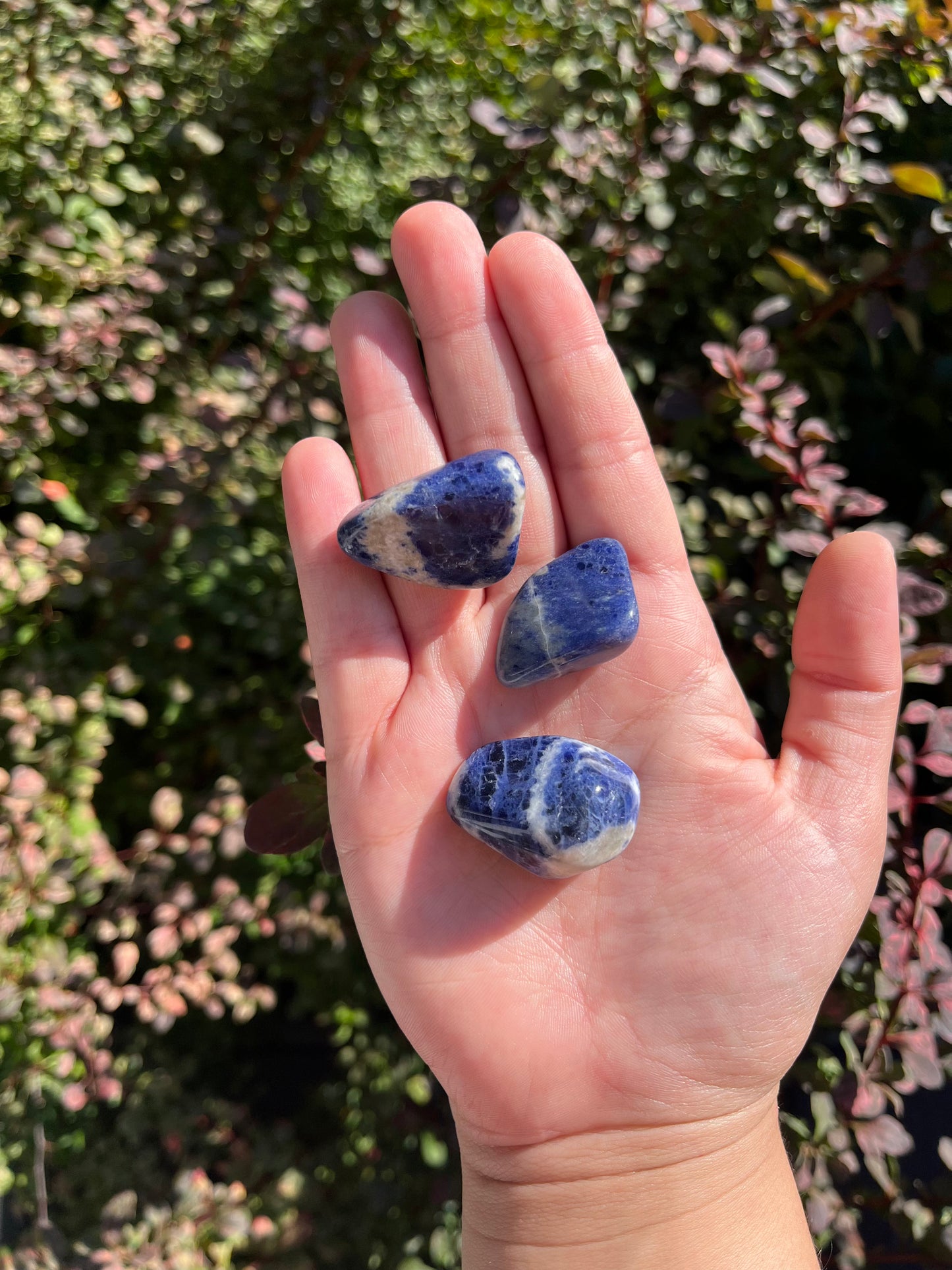 Sodalite Tumble