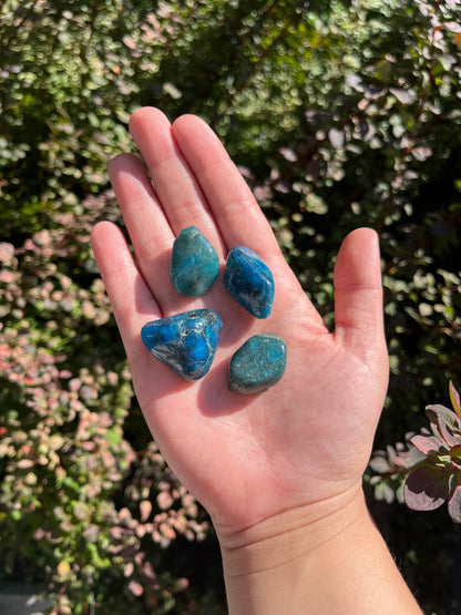 Blue Apatite