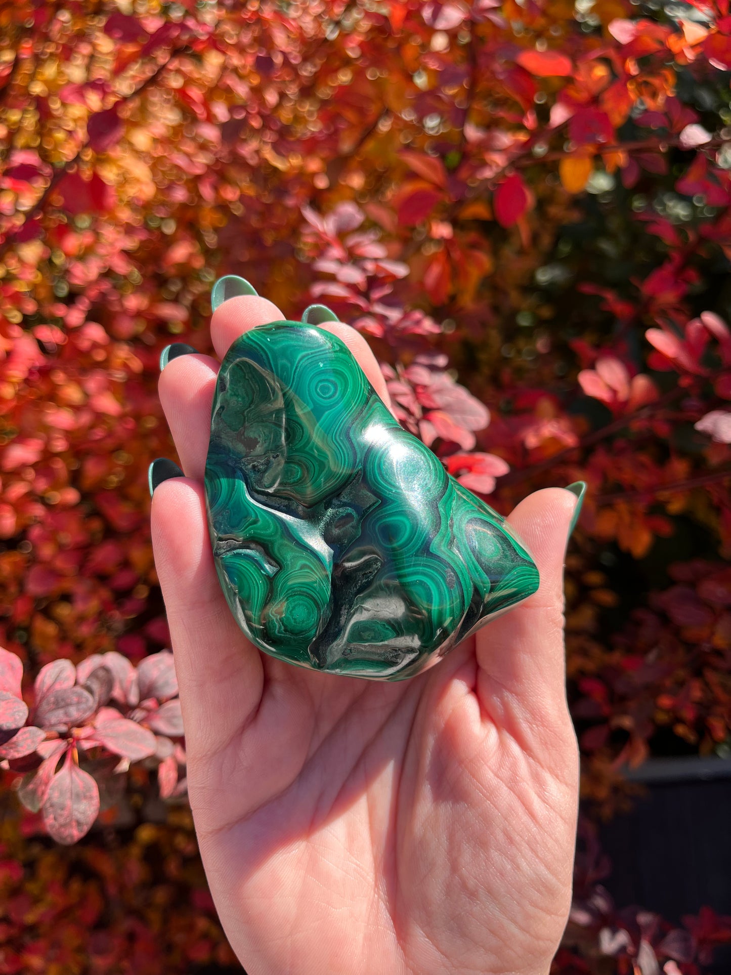 Malachite Freeform