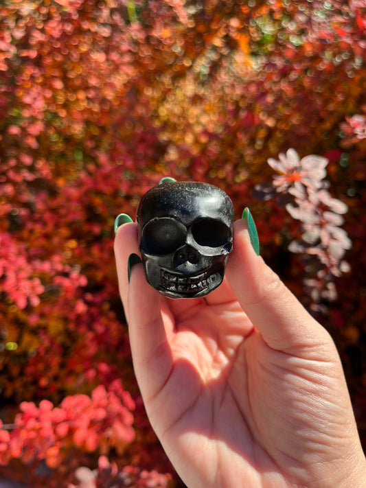 Black Obsidian Mini Skull