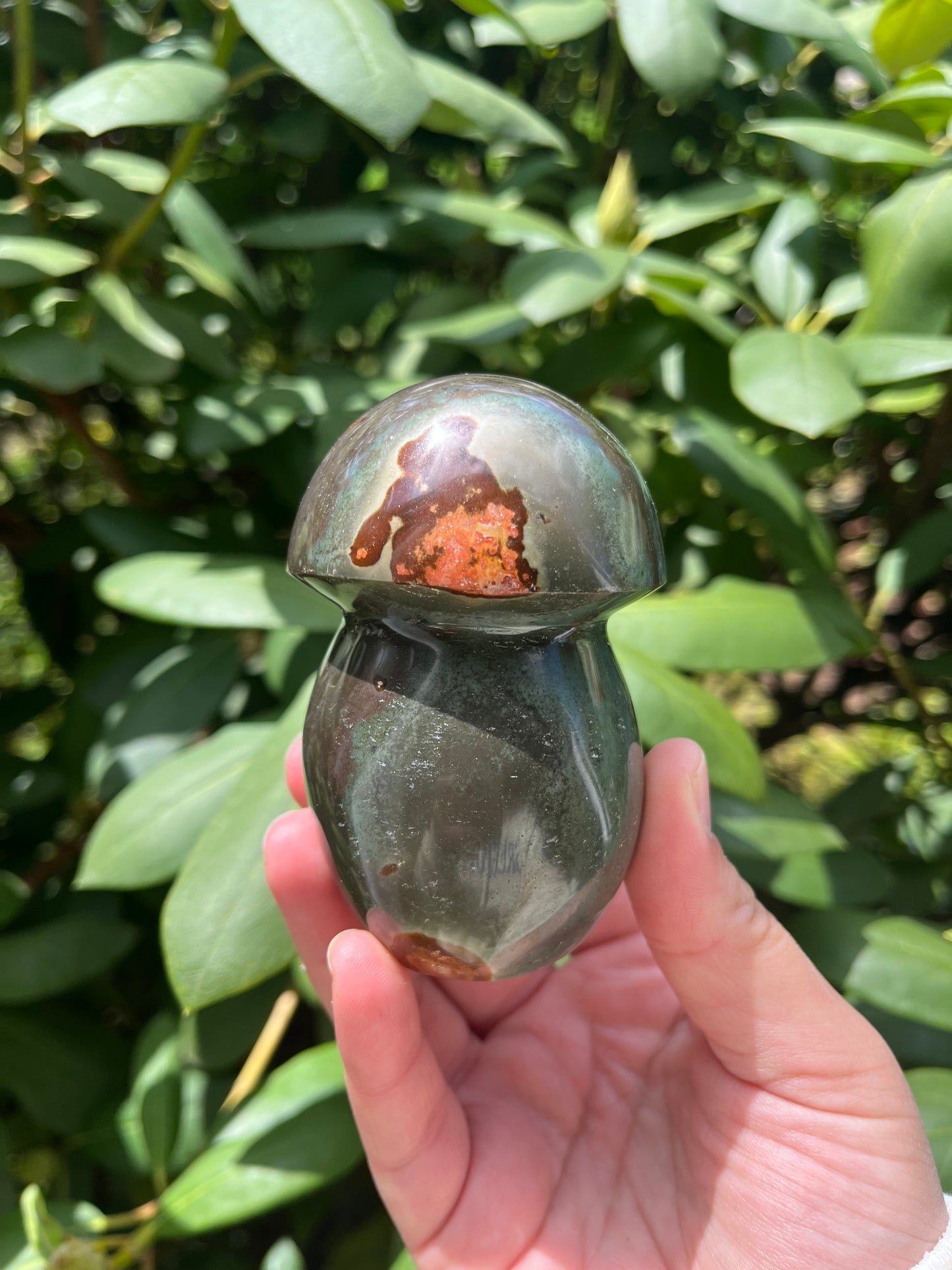 Polychrome Jasper Mushroom