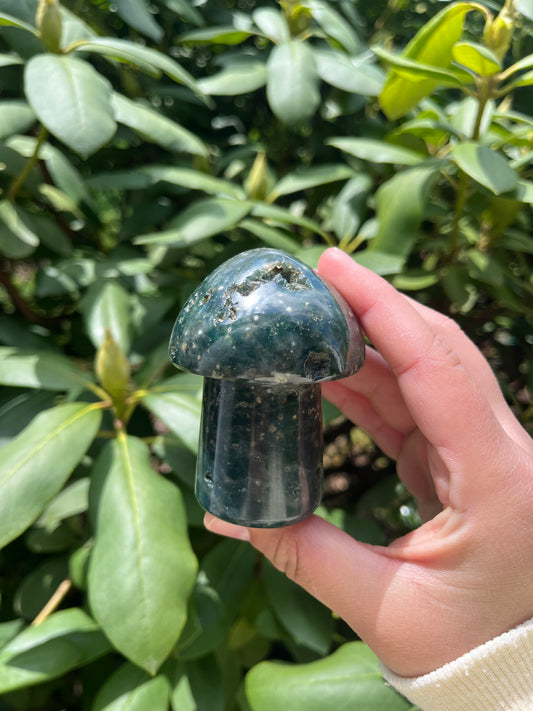 Ocean Jasper Mushroom