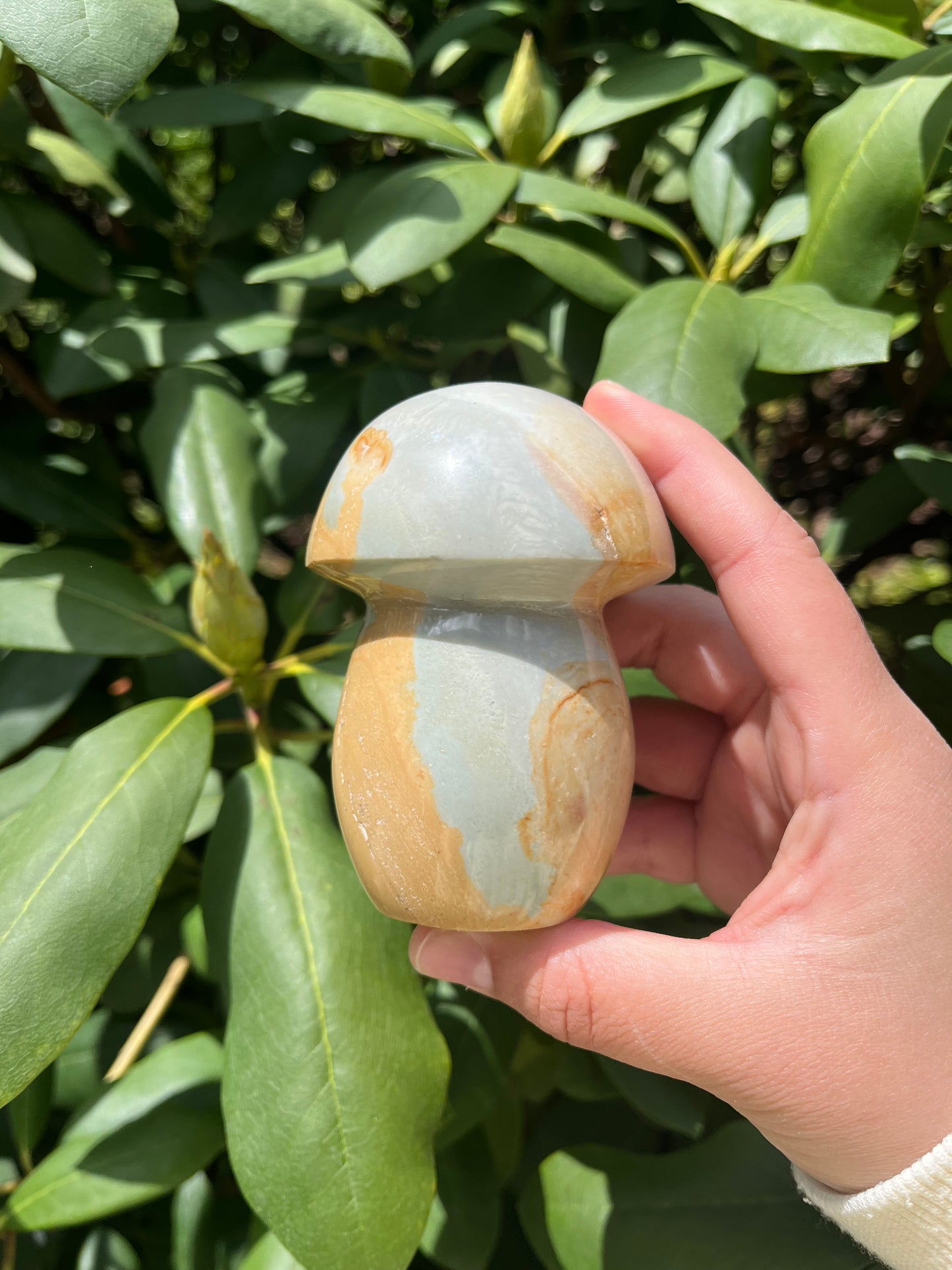 Polychrome Jasper Mushroom