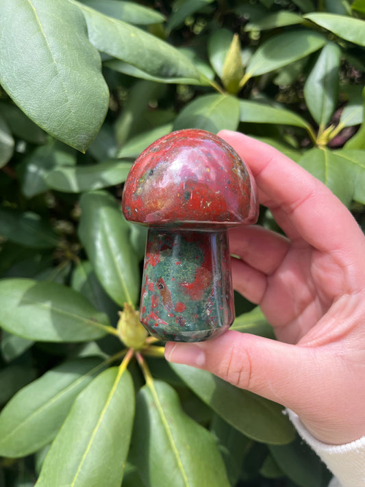 Bloodstone Mushroom