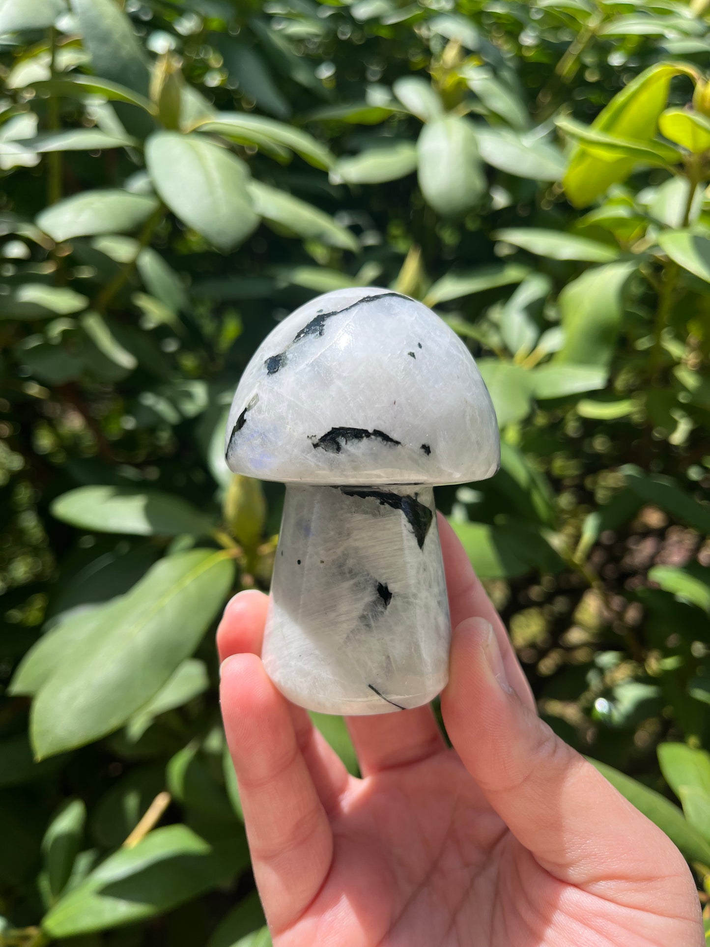 Rainbow Moonstone Mushroom