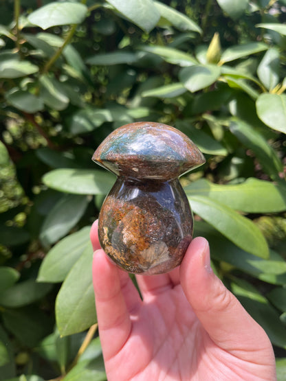 Ocean Jasper Mushroom