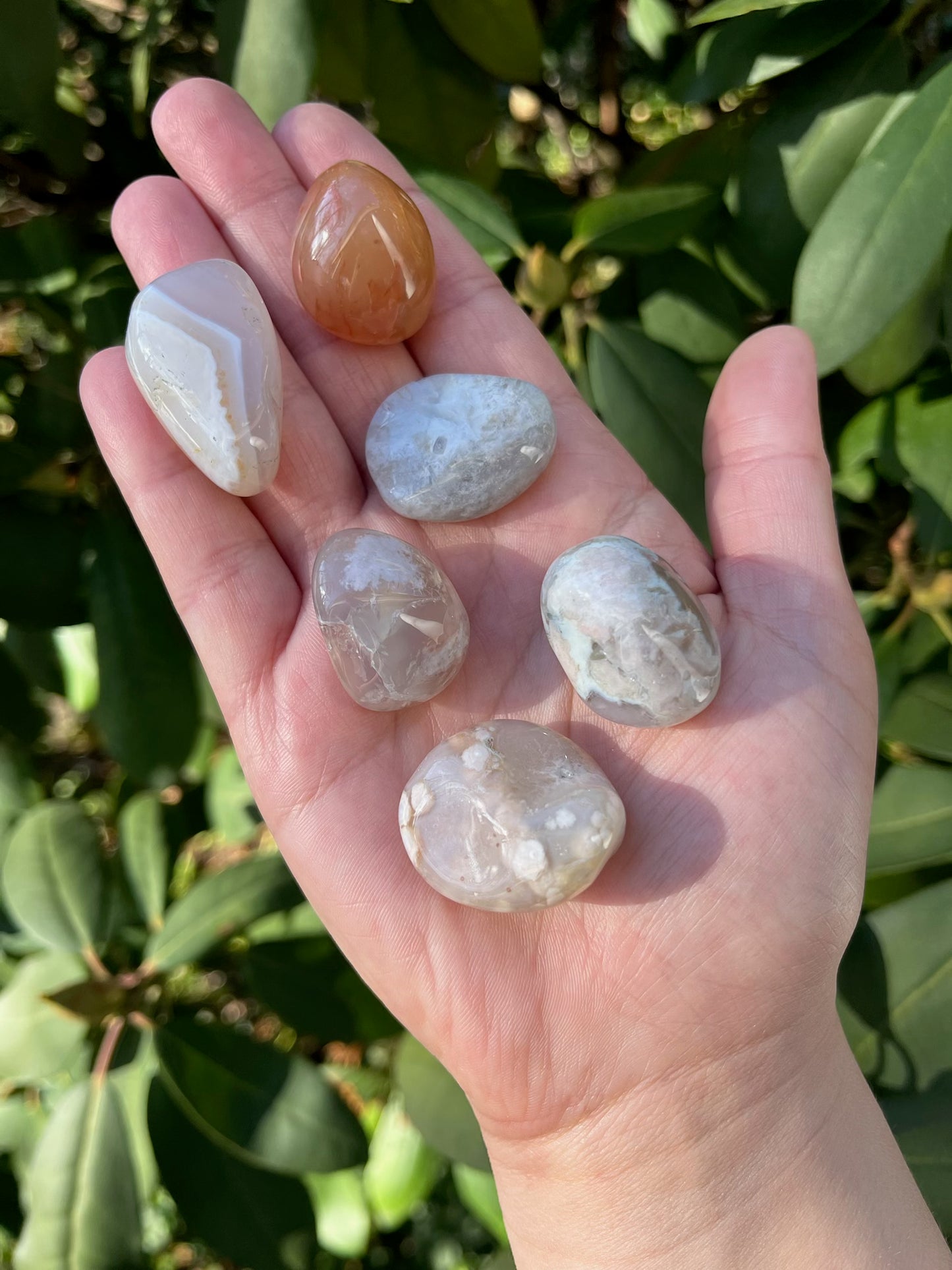 Flower Agate Tumble