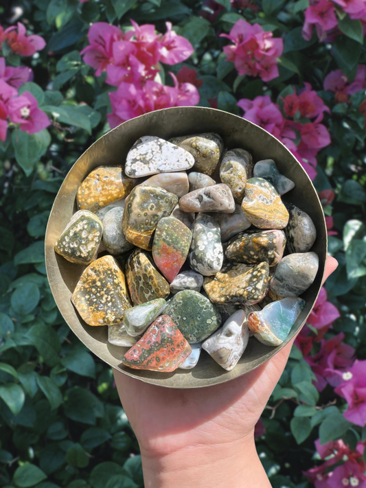 Orbicular Ocean Jasper Tumble