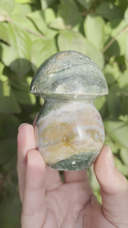 Sea Jasper Mushroom