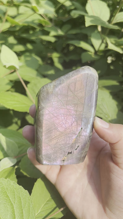 Sunset Labradorite Freeform