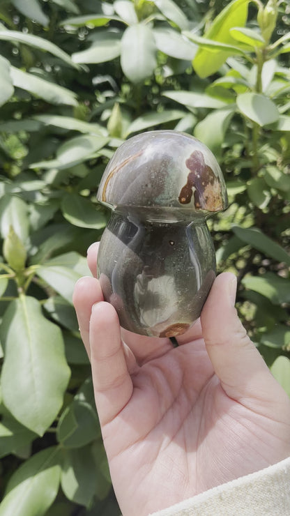 Polychrome Jasper Mushroom