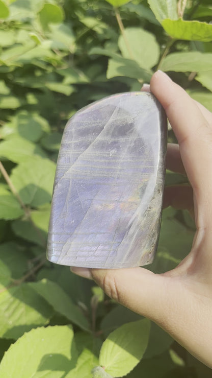 Sunset Labradorite Freeform