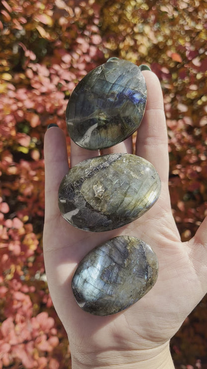 Labradorite Palm Stone