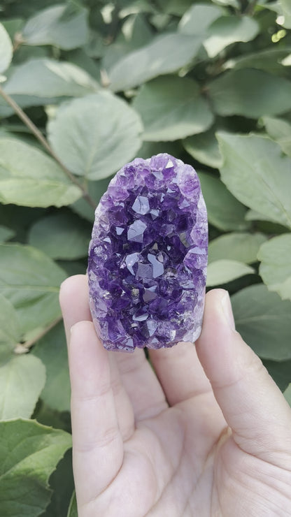 Amethyst Mini Freeform