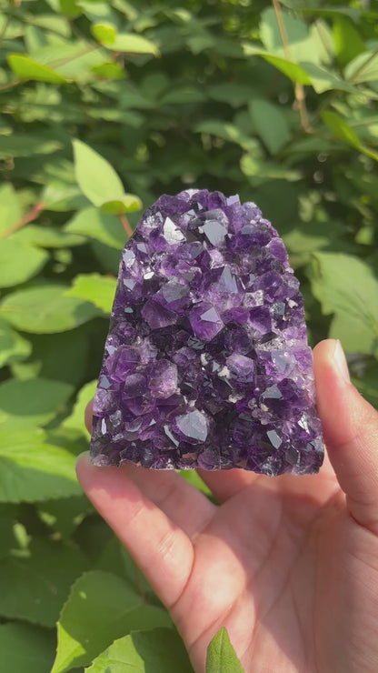 Grape Jelly Amethyst Freeform