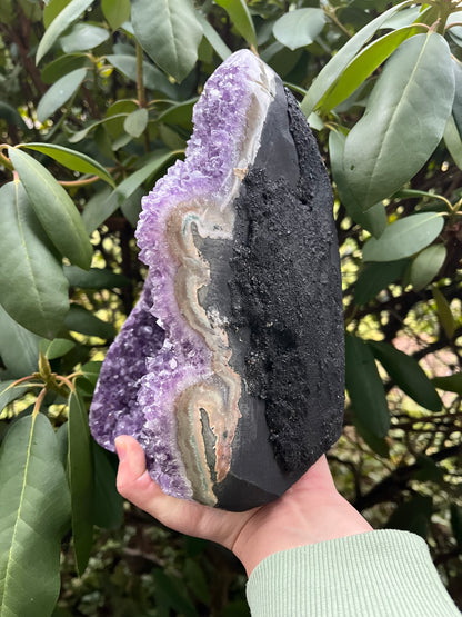 XL Amethyst Cut Base