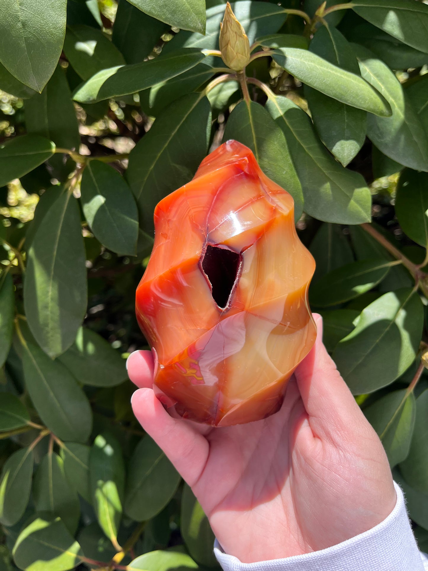 Carnelian Flame